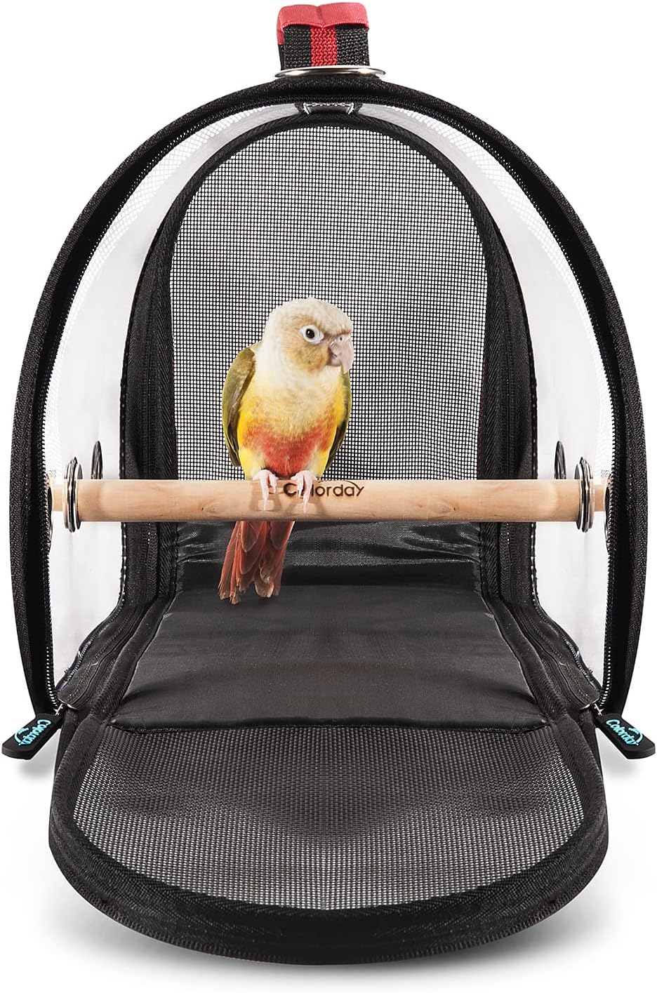 Colorday Lightweight Bird Carrier for Travelers, Bird Travel Cage with Parrot Feeder Cups & Standing Perch and Tracy (Large 19 x 12 x 13, Black)