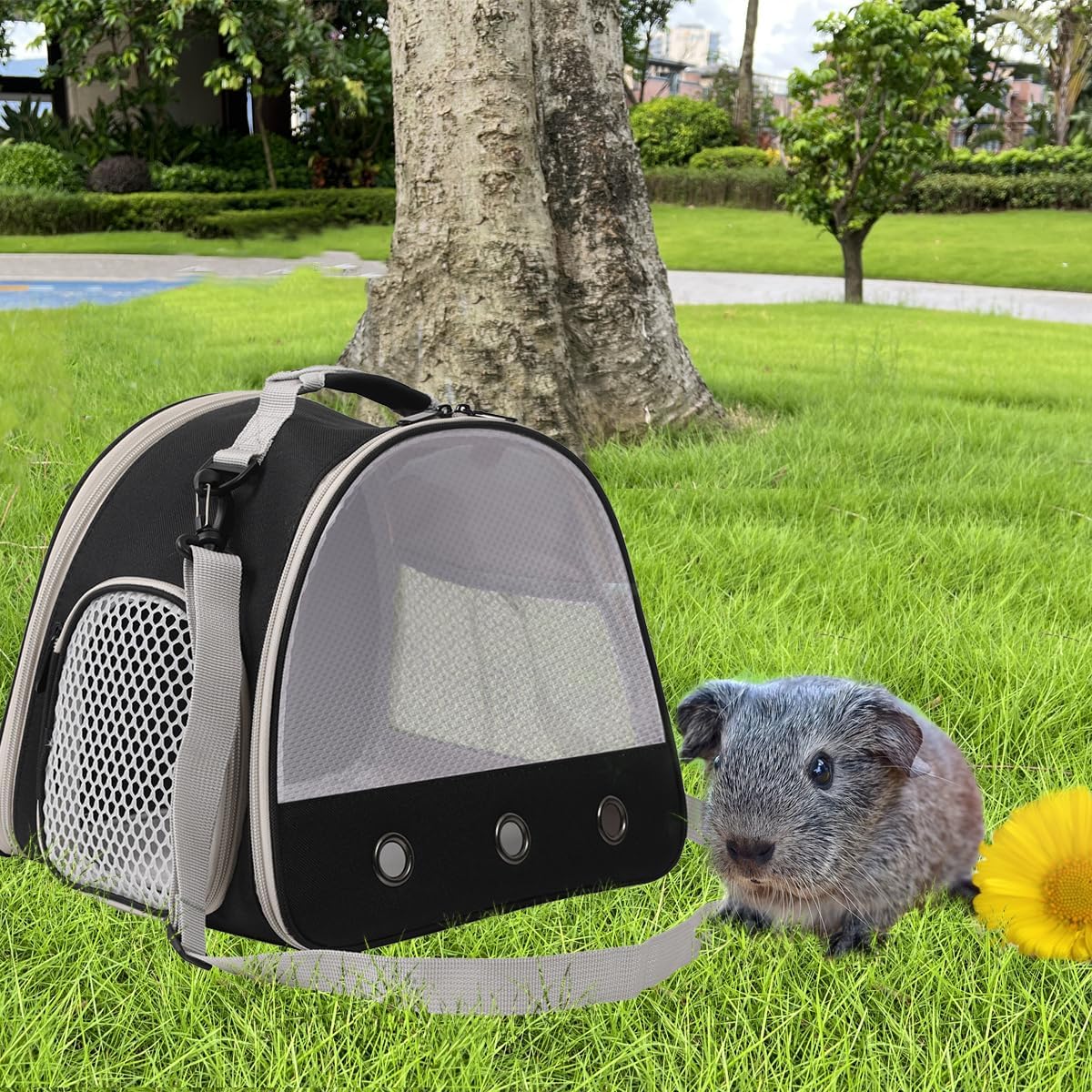 Ventilation Carrier for Bearded Dragon,Guinea Pig Carrier,Guinea Pig Carrier for 2,Reptile Travel Carrier for Lizards Sugar Glider Hedgehog Rat Parrot Birds,Airline Approved Black