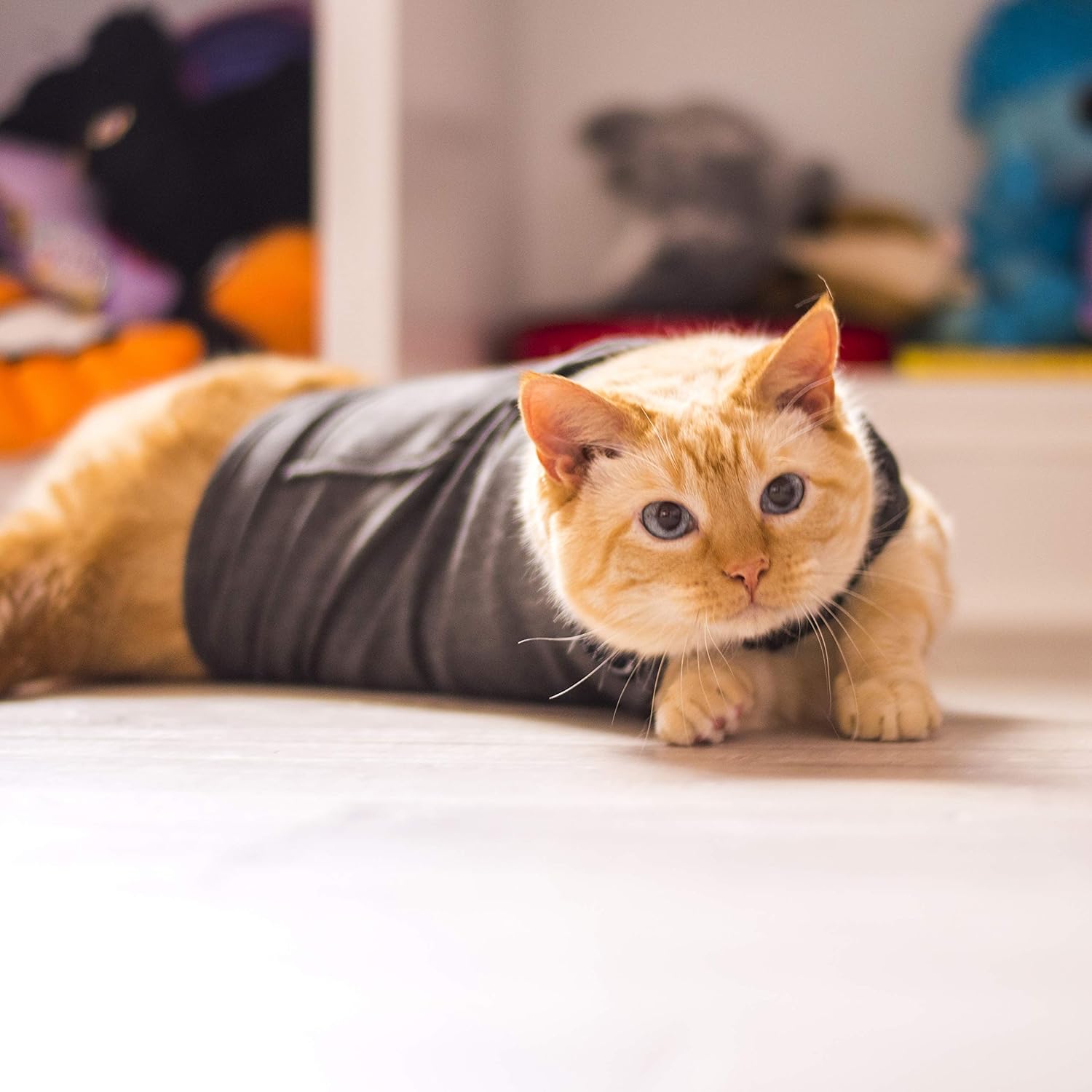 Thundershirt Classic Cat Anxiety Jacket, gris jaspeado, mediano (9 a 13 libras), THU-009 