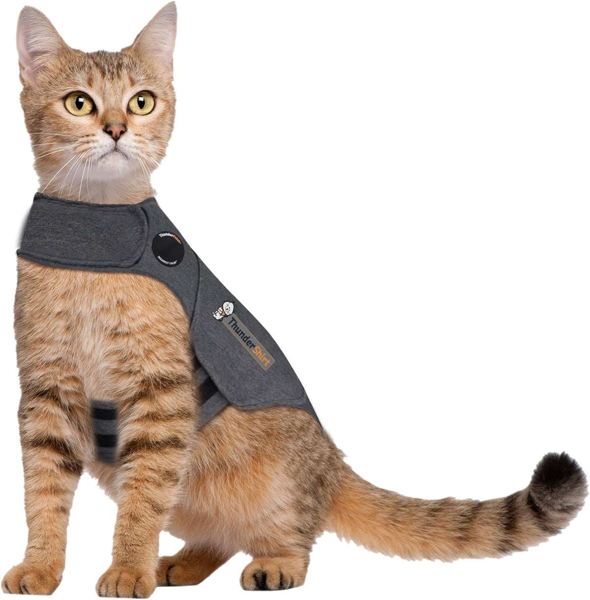 Thundershirt Classic Cat Anxiety Jacket, Heather Grey, Medium (9 bis 13 Pfund), THU-009 