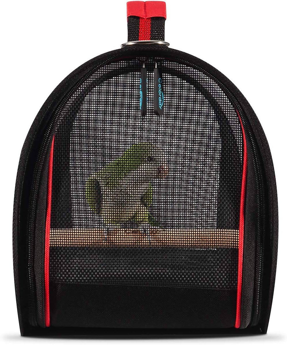 Colorday Lightweight Bird Carrier for Travelers, Bird Travel Cage with Parrot Feeder Cups & Standing Perch and Tracy (Large 19 x 12 x 13, Black)