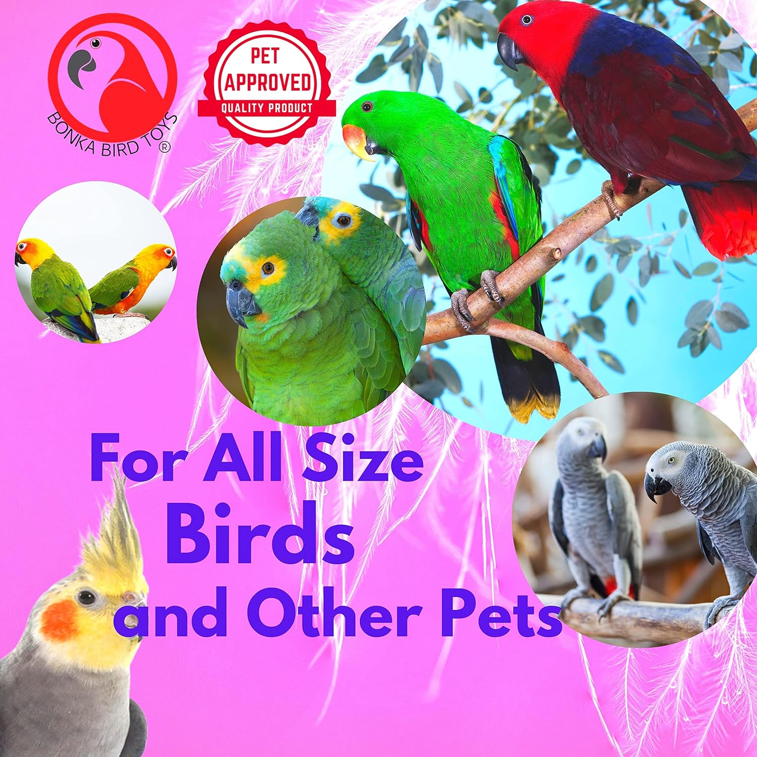 Bonka Bird Toys 4 Mini Sandalias Pie Pico Masticar Lanzamiento Loro Periquito Quaker Budgie Finch Cacatúa 