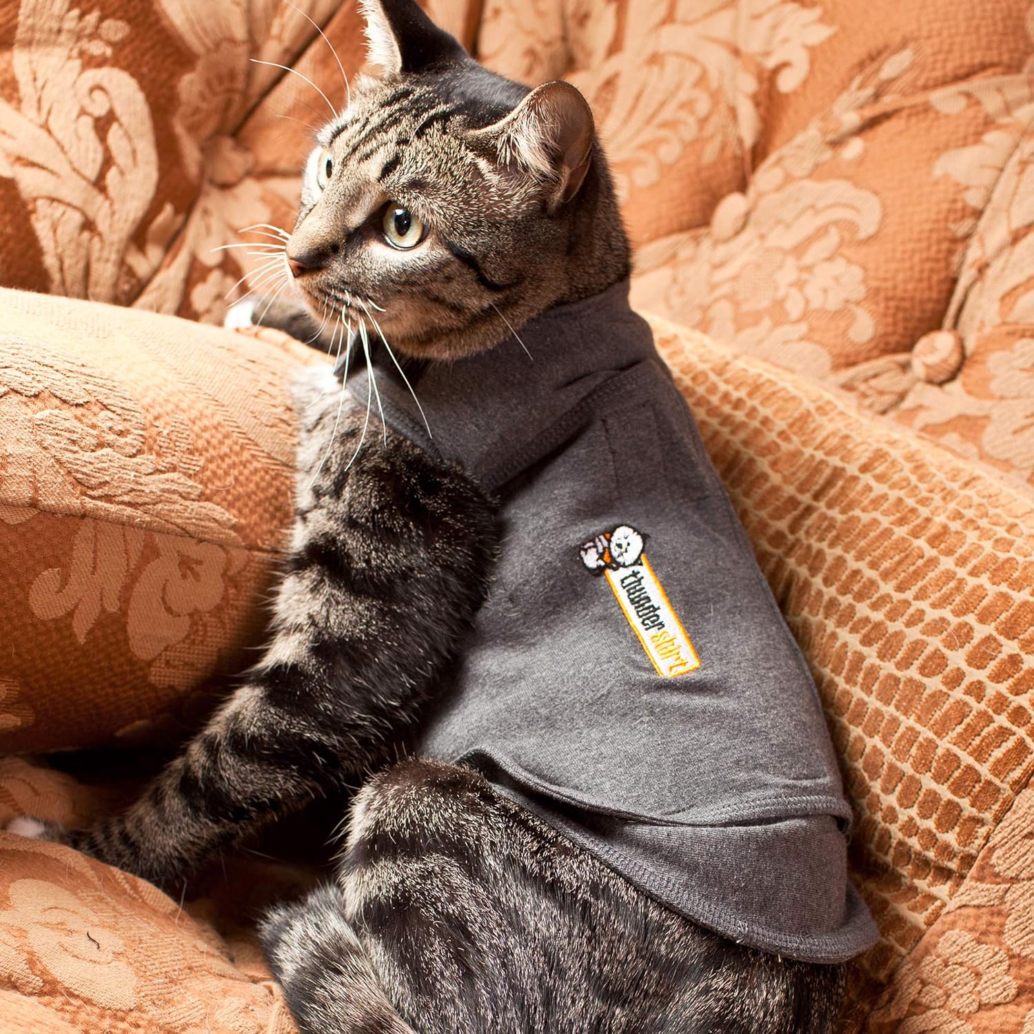 Thundershirt Classic Cat Anxiety Jacket, gris jaspeado, mediano (9 a 13 libras), THU-009 