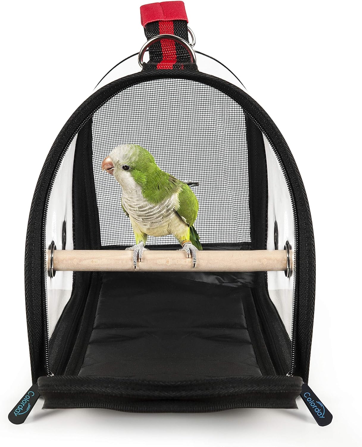 Colorday Lightweight Bird Carrier for Travelers, Bird Travel Cage with Parrot Feeder Cups & Standing Perch and Tracy (Large 19 x 12 x 13, Black)